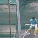 CSK captain MS Dhoni begins prep for IPL 2023 by hitting SIXES during nets session and video goes viral