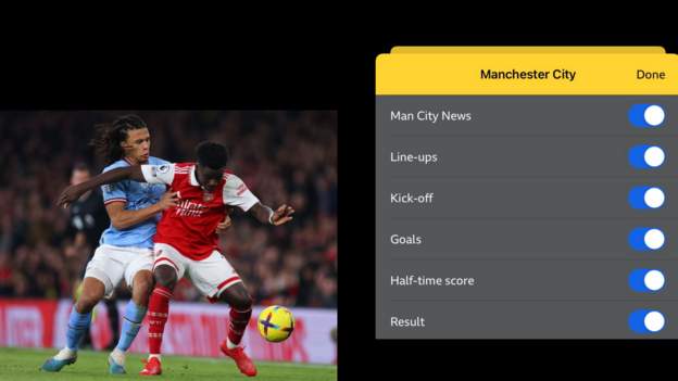 Premier League: How to follow your team on the BBC
