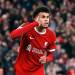 Luis Diaz, Cody Gakpo ‘facing uncertain futures at Liverpool’