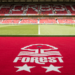 Nottingham Forest to receive four point deduction over PSR breaches, drop into Premier League relegation zone